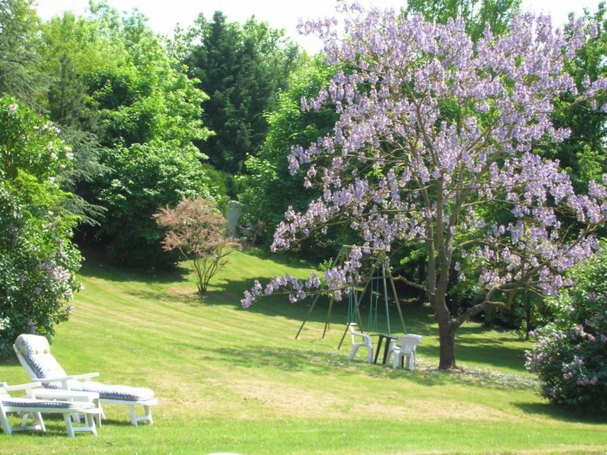 Charme Au Coeur Des Chateaux De La Loire Avec Wifi - Fr-1-590-305 Bed & Breakfast Tavers Bagian luar foto